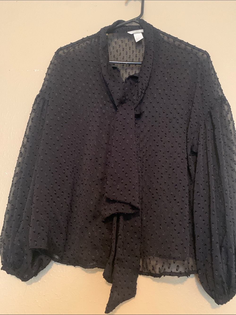H&M Black Sheer Swiss Dot Tie-Neck Blouse